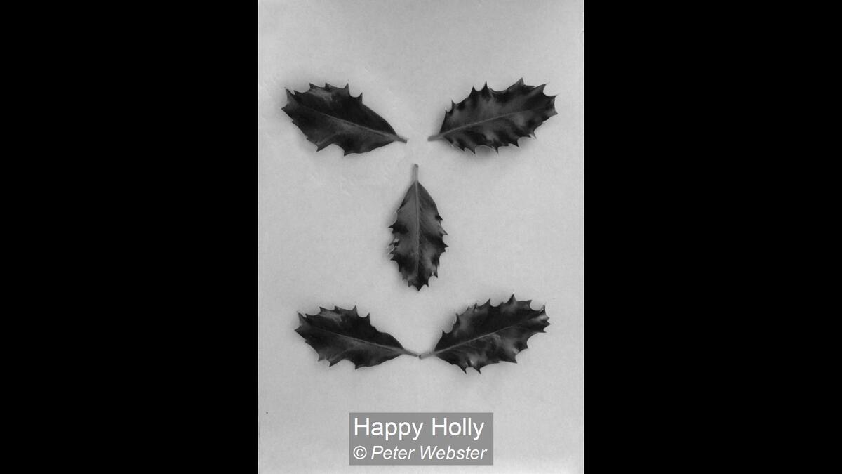 Happy Holly